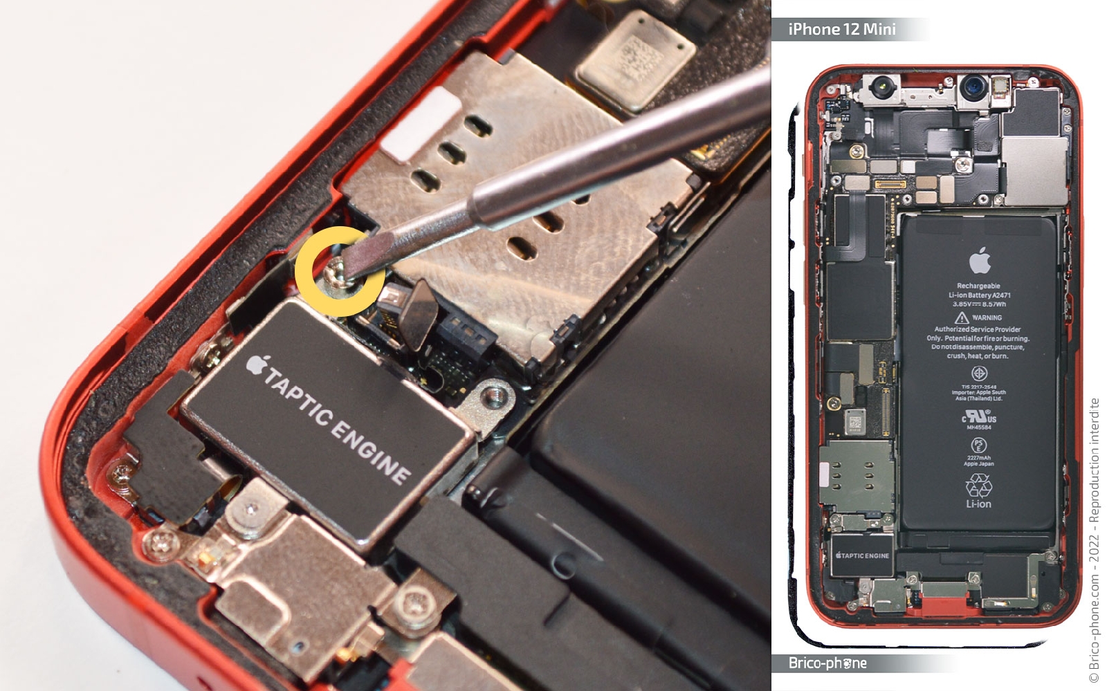 Remise à neuf sur iPhone 12 Mini photo 1